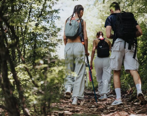 Group,Of,Friends,Enjoying,A,Hike,Through,A,Forested,Mountain