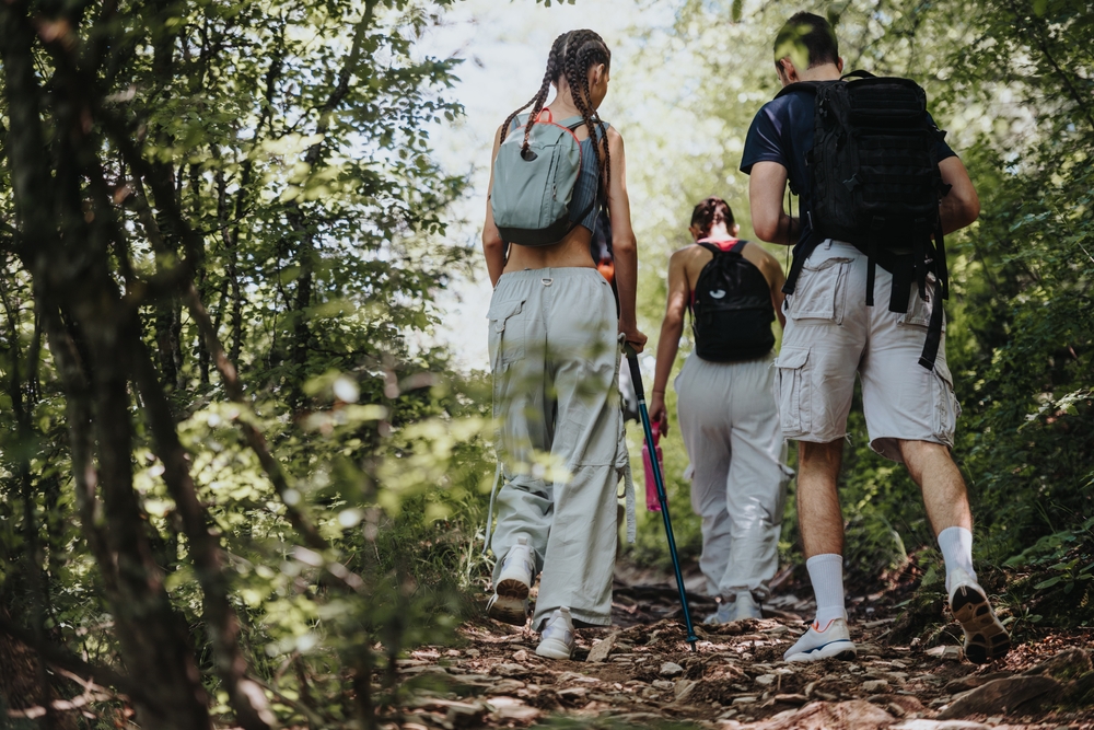 Group,Of,Friends,Enjoying,A,Hike,Through,A,Forested,Mountain