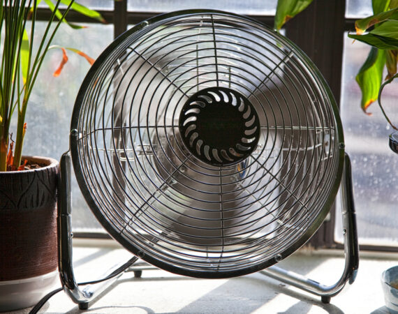Fan,In,Motion,Between,Potted,Plants,Providing,A,Cool,Breeze