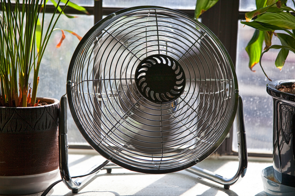 Fan,In,Motion,Between,Potted,Plants,Providing,A,Cool,Breeze