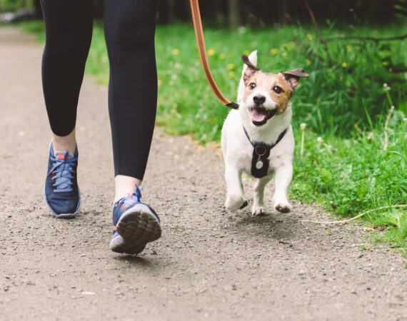 Woman,Running,With,Dog,To,Workout,During,Morning,Walk